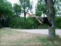 Thumbnail #3