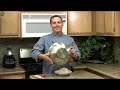 Tortilla Recipe