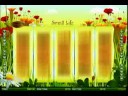 Small Life