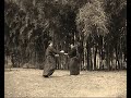 ju-jutsu mushin ryu