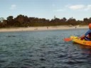Go Sea Kayak Dolphin Kayaking July22