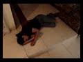 teatros de la madre de aleja 2