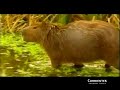 Corrientes - Argentina | video turistico original -parte 1- Corrientes - Argentina | video turistico original -parte 1-