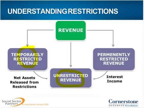 how to assess nonprofit financial performance