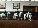 Dressage Performance From The Original Lipizzans 3