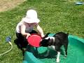 Aubree and Checkers play with the frisbee Aubree and Checkers play with the frisbee