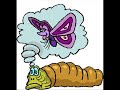 TMKs WTF Cronicles Episode #1 - Butterflies TMKs WTF Cronicles Episode #1 - Butterflies