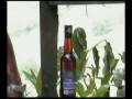 Viajando con Vinos JEZ.mp4