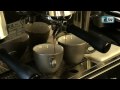 Latte Art Champion