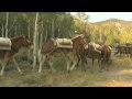 USFS - Pack Mule Program