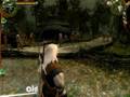 The Witcher EE: Character differentiation and new models