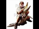 Steve Irwin Tribute
