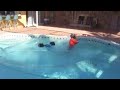 Green machine Ice Dive
