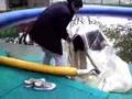 上海ハニー　其の四 (200804161502.3gp)