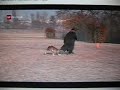 Pit bull attacks are 