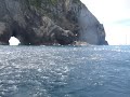 School of Fish at the 