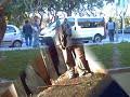 conpañeros de trabajo en españa
