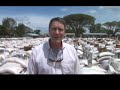 Senator Frist in Uganda 2007 - Food Distribution