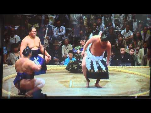 白鵬負けた.wmv