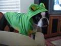 Costume-Tests