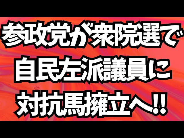 参政党が衆院選で自民党左派議員に対抗馬擁立へ