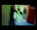 algerian fight