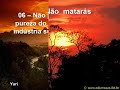 Dia da �rvore