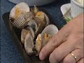 Cockles \"A How-To Guide\" Cockles \"A How-To Guide\"