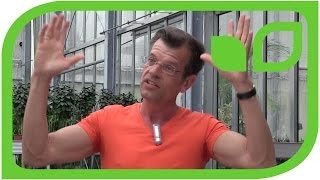 Biologischer Pflanzenschutz bei Tomaten - mit Karl Ploberger 