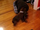 Duke gets Snacks