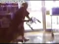 Assaltante Idiota!