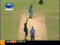 Flying Stumps Montage