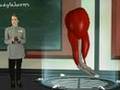 Sistema Muscular