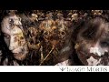 Imago Mortis - Insomnia
