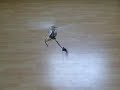 Ikarus Eco Piccolo Video 1 Ikarus Eco Piccolo Video 1