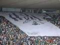 TJB - Torcida Jovem do Botafogo - TJB
