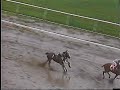 HILARIOUS JOCKEY RIDE - HORSE RACING
