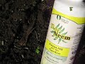 Neem for the planet