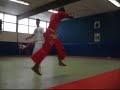 CAPOEIRA ACROBATIES