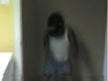bibi dancing dutty wine 2