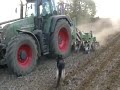 Click here to watch this video Strip Till Orthman 6 rangs + GPS