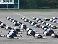 koujyou no tsuki koujyou no tsuki
