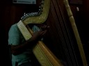 Arpa en el Sureste - Martin Portillo