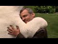Icon for Post #Nissan Leaf Polar Bear commercial