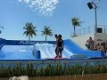 Flow Boarding.mov