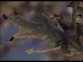 18.- Los Vigilantes De la Tierra - El Universo