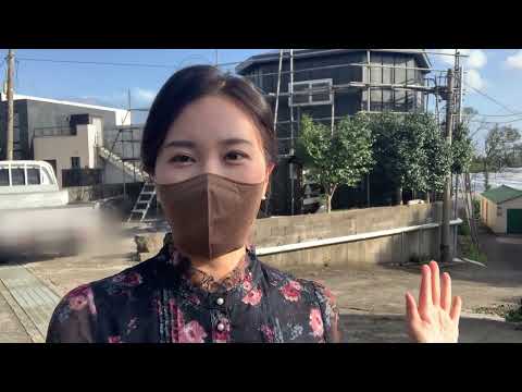 Now제주TV - 제주에 있는 동백꽃 마을