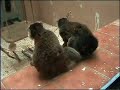 ZOO Olomouc- poslední výlet 9.C Z? Osecká Lipník nad Be?vou ZOO Olomouc- poslední výlet 9.C Z? Osecká Lipník nad Be?vou