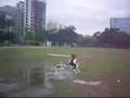 videos de Raptor 30 V2 - 3º Vôo (Continuação 2)