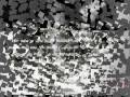 Notch – TOCAME ..... DADDY YANKEE - TU PRINCIPE